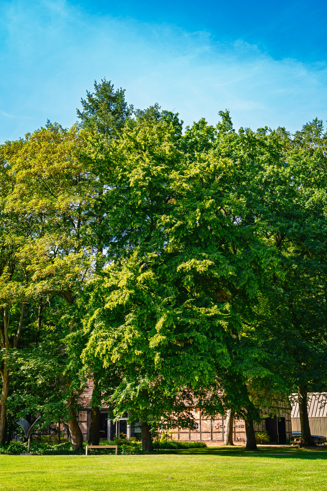 Kränholm – 20260812 dsc 0584