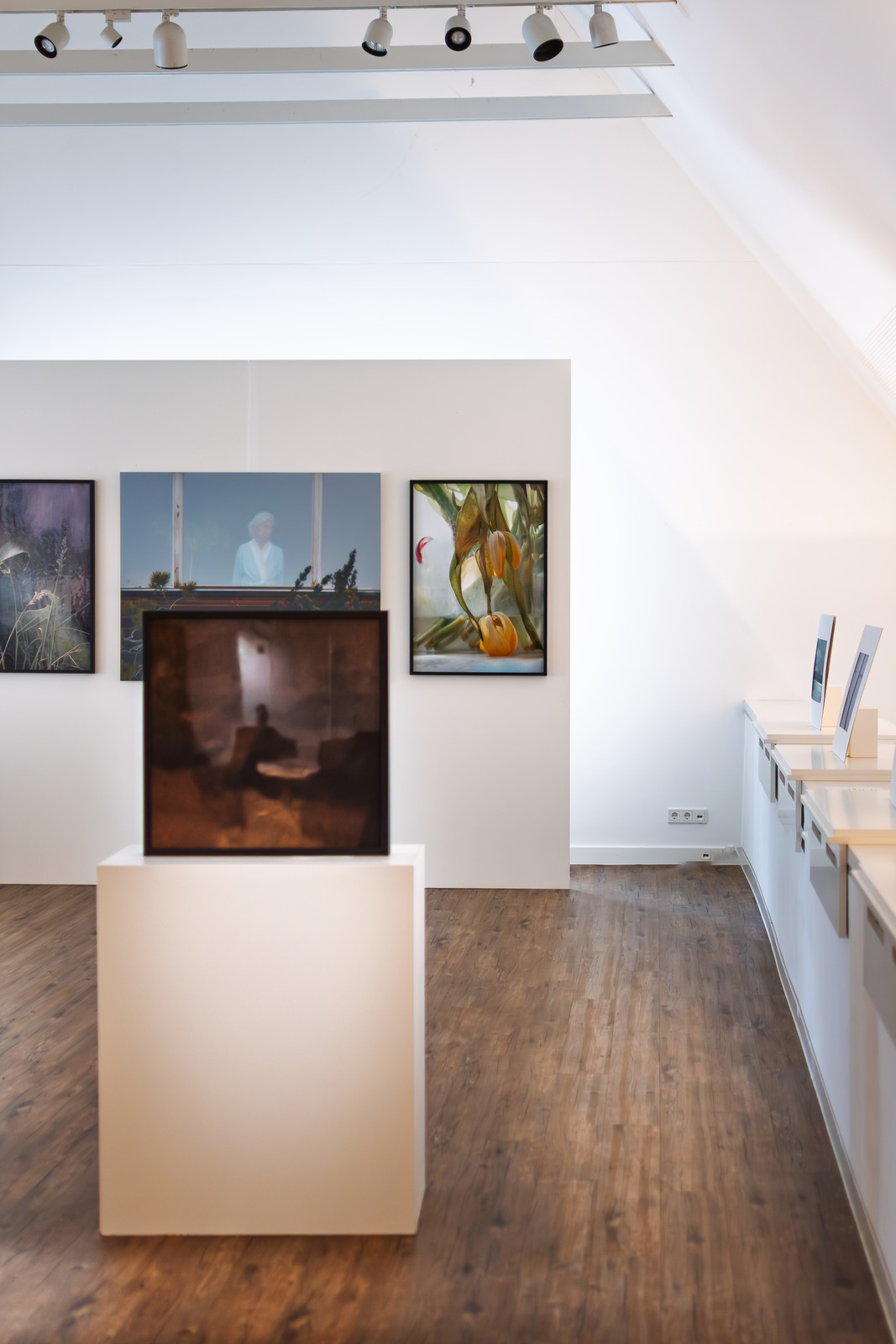 Einblicke in die Ausstellung auf Kränholm